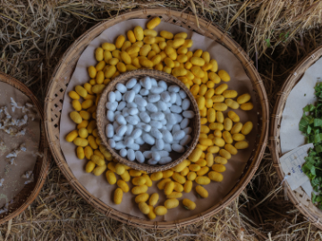 A Remarkably Effective Way Of Exfoliating: Copper-Crusted Silk Cocoons