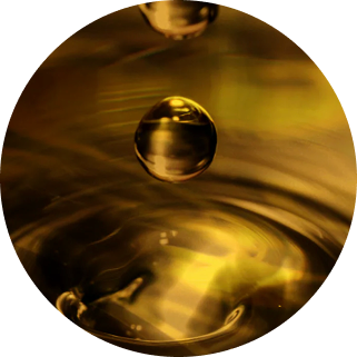 Golden Muga silk
