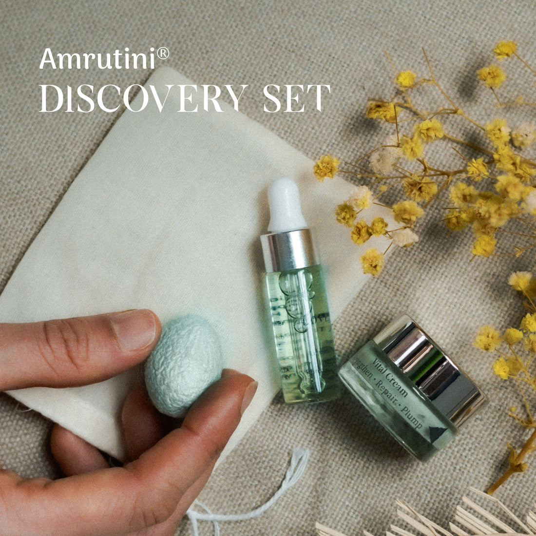 Amrutini® Discovery Set