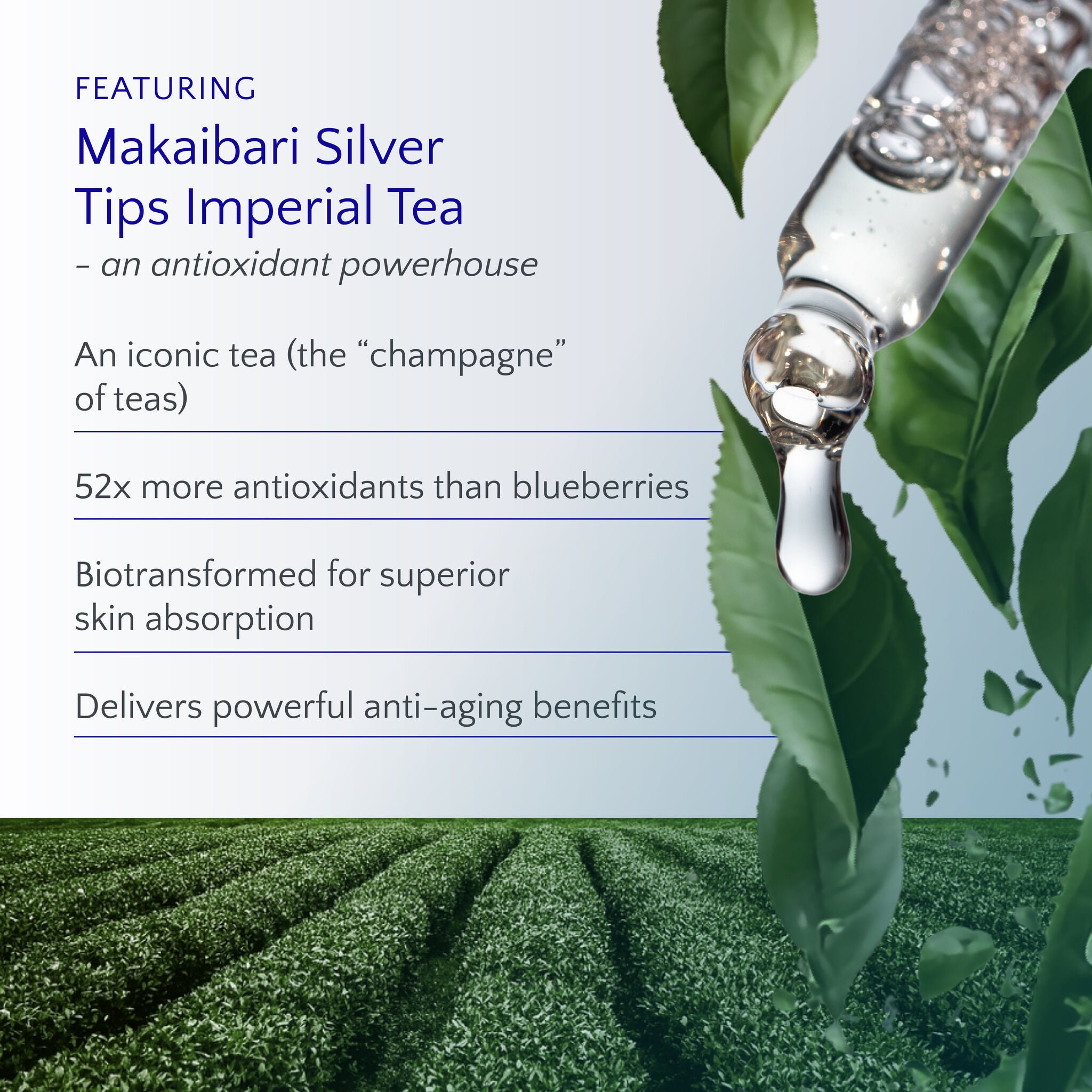 Amrutini® Strength &amp; Radiance Duo